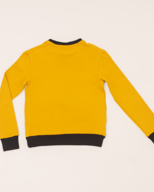 Type 1 Diabetes Clothing - Long Sleeve T-shirt Yellow | Our Pocket Hero