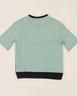 Type 1 Diabetes Clothing - Short Sleeve T-shirt Pistachio | Our Pocket Hero