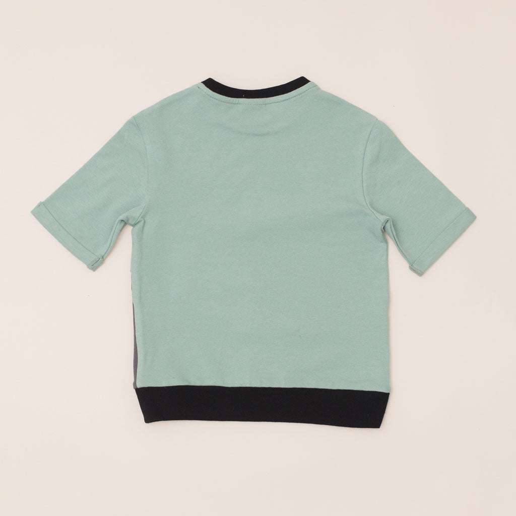 Type 1 Diabetes Clothing - Short Sleeve T-shirt Pistachio | Our Pocket Hero