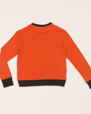 Type 1 Diabetes Clothing - Long Sleeve T-shirt Orange | Our Pocket Hero