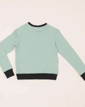 Type 1 Diabetes Clothing - Long Sleeve T-shirt Pistachio | Our Pocket Hero